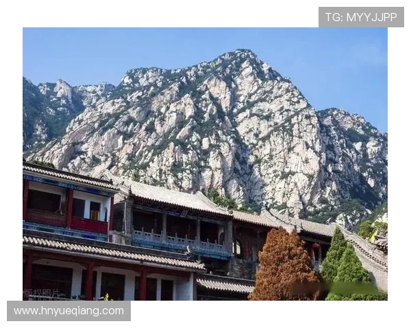 福建游神文化探索之旅：领略民间信仰与传统游戏的独特魅力